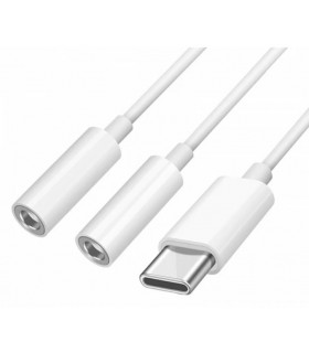 Cable Audio Lightning a Jack 3.5mm