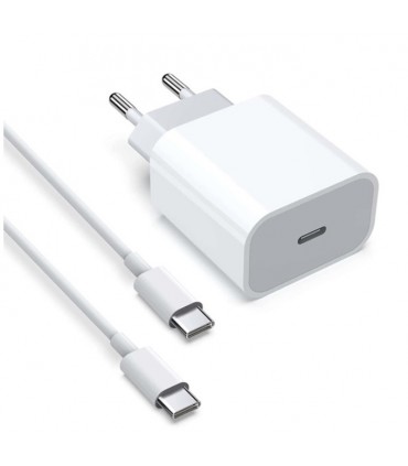 Cargador + cable TIPO - TIPO C PD 20W