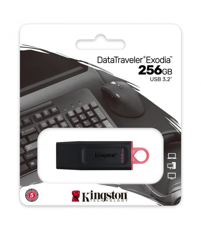 Pendrive Kingston de 256GB