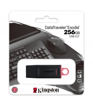 Pendrive Kingston de 256GB